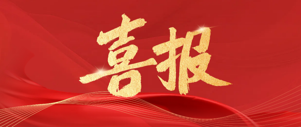 a6e643d4030505a56cf2de4124c9625.png